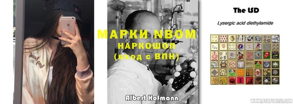 прущие крисы Аркадак