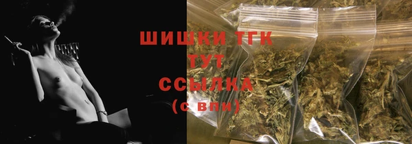 хмурый Арсеньев