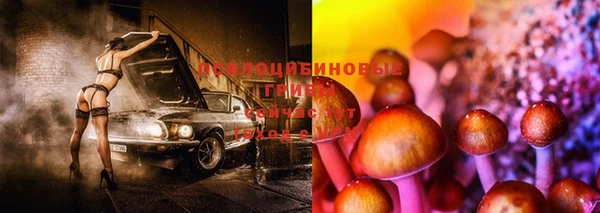 ALPHA-PVP Нефтекумск